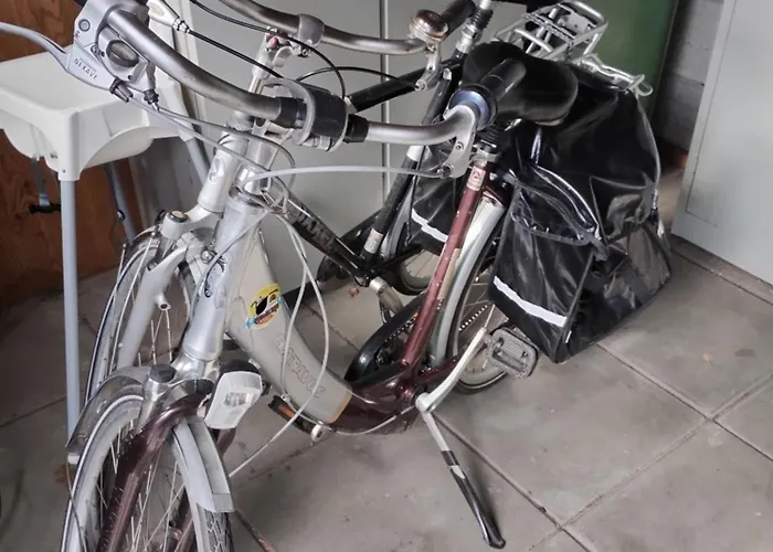 For 4 On The Veluwe *